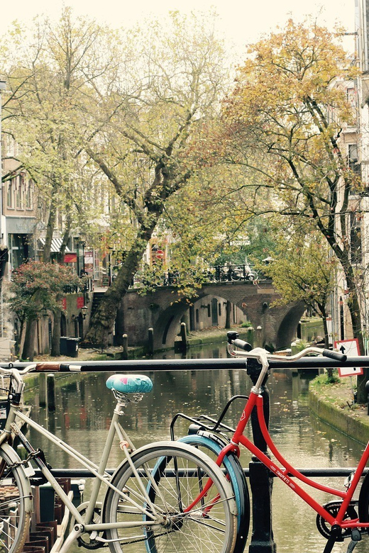 Utrecht: Customizable Tour & Optional Train From Amsterdam - Experience Highlights