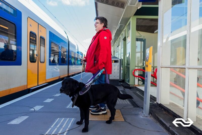Utrecht: Train Transfer Utrecht From/To Rotterdam - Train Departure Times