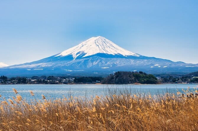 Utsunomiya Gyoza (Dumpling) Eating Tour - Participant Requirements