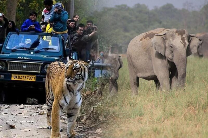 Uttarakhand Delights: Nainital & Corbett Expedition - Key Points