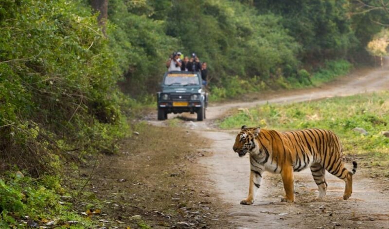 Uttarakhand Delights: Nainital & Corbett Expedition - Itinerary at a Glance