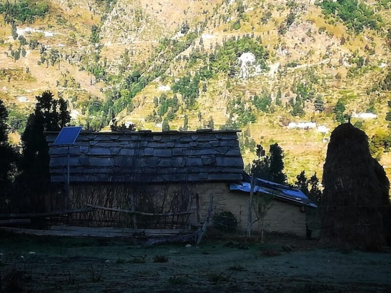 Uttarakhand: Pindari Glacier Trek With Danu Adventure - Restrictions and Requirements