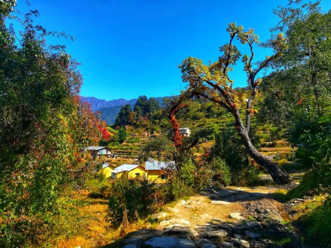 Uttarakhand: Pindari Glacier Trek With Danu Adventure - Frequently Asked Questions