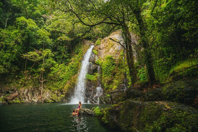 UTV 4wd Cassowary Falls and Daintree Rainforest Adventure tour - FAQ