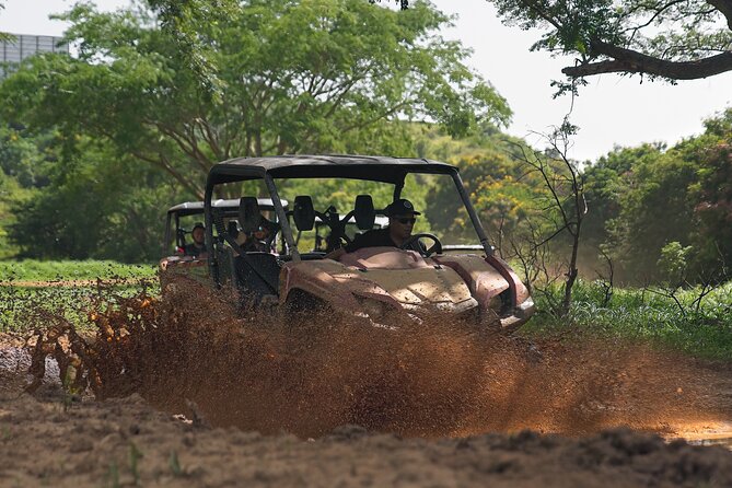 UTV Adventure in Naguabo Puerto Rico 50 Minutes Trip 80 Acres - Booking and Cancellation Policy