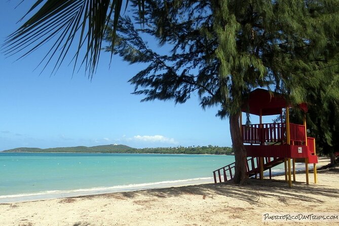 UTV and Can-Am Sightseeing Tours in Puerto Rico - Transportation and Meeting Details