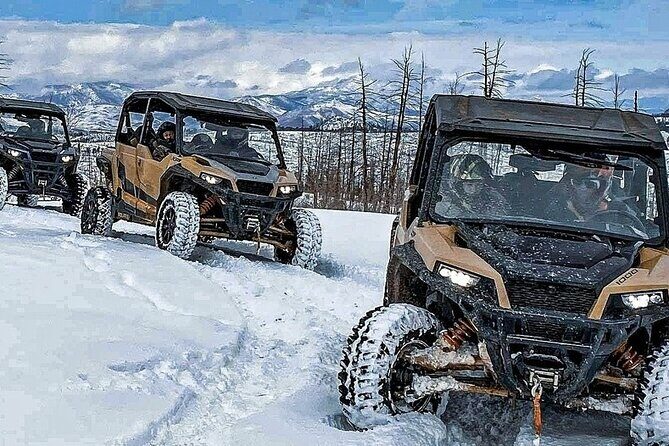 UTV/ATV 2 Hour Rentals near Woodland Park - What to Expect from Your UTV Adventure