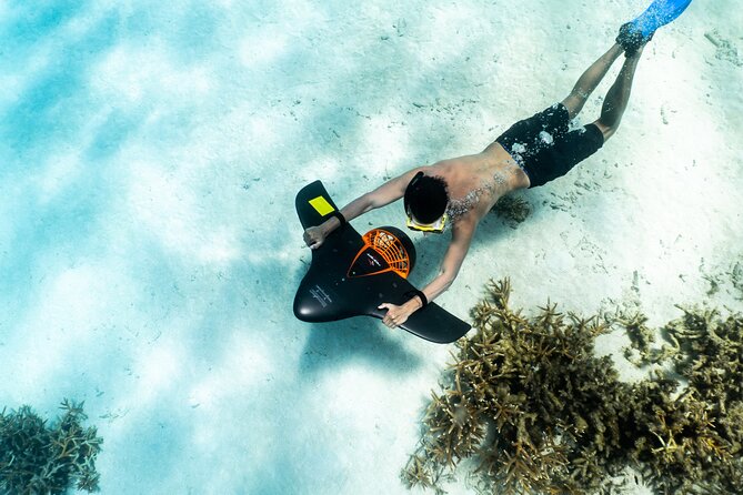 UTV Expedition: Discovering Arubas Hidden Wonders - Customer Experiences and Feedback