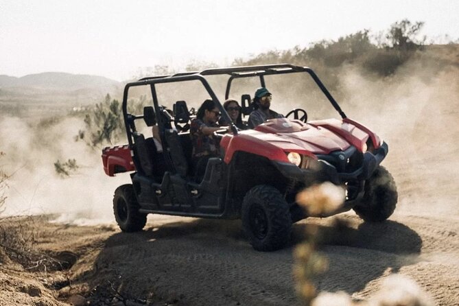UTV off Road Experience and Winery Visit in Valle De Guadalupe! - Key Points
