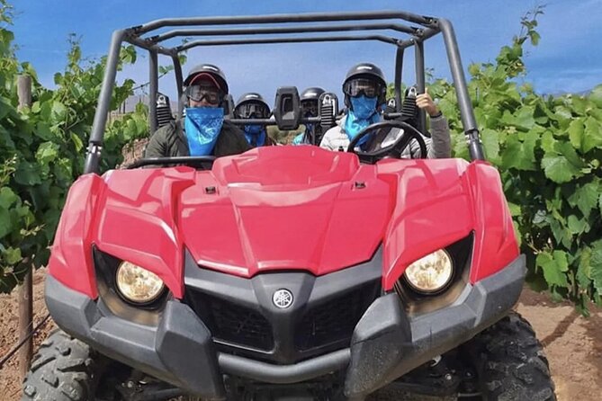 UTV off Road Experience and Winery Visit in Valle De Guadalupe! - Inclusions and Exclusions