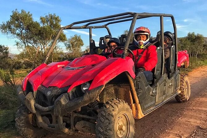 UTV off Road Experience and Winery Visit in Valle De Guadalupe! - Safety Considerations