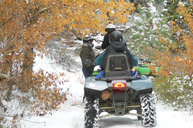 UTV or Snow Mobile & Snowshoe Winter Adventures From Reno - Meeting and Pickup Details