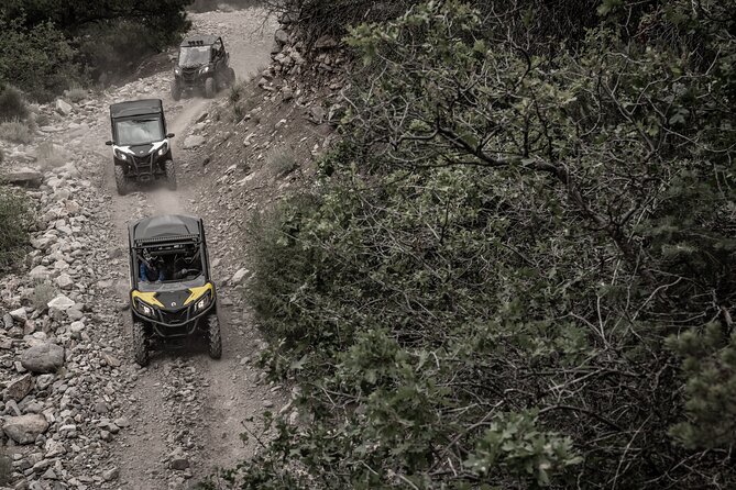 UTV Rental in Wickenburg - Key Points