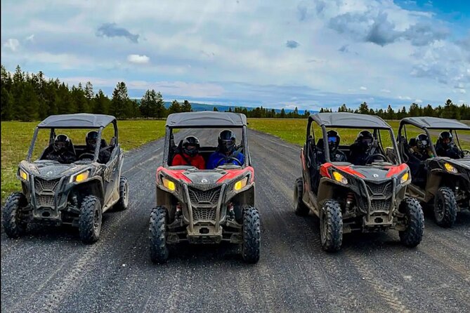 UTV Tour of Sawtell Peak - Booking Information