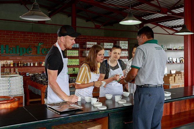 Uva Halpewatte Tea Factory Tour in Ella Sri Lanka - Hours of Operation
