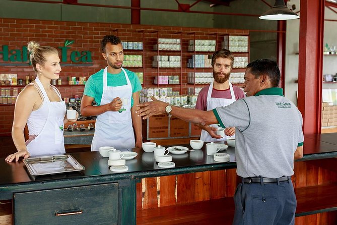 Uva Halpewatte Tea Factory Tour in Ella Sri Lanka - Accessibility Information