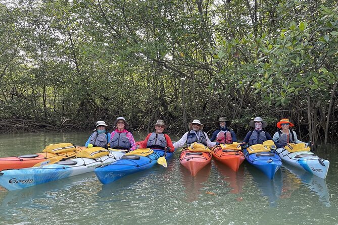 Uvita: Marino Ballena National Park Mangroves - Sea Kayaking - Key Points