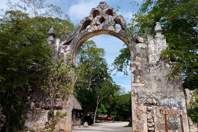 Uxmal and Hacienda Mucuyché: A Journey to the Heart of the Mayan World - Who Will Enjoy This Tour?
