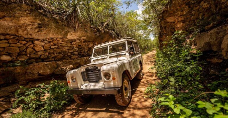 Uxmal: Vintage Land Rover Expedition to Uxmal Cenotes - Key Points