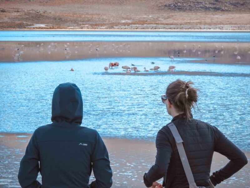 Uyuni: 3-Day Tour Uyuni Salt Flats + English Speaking Guide - Key Points