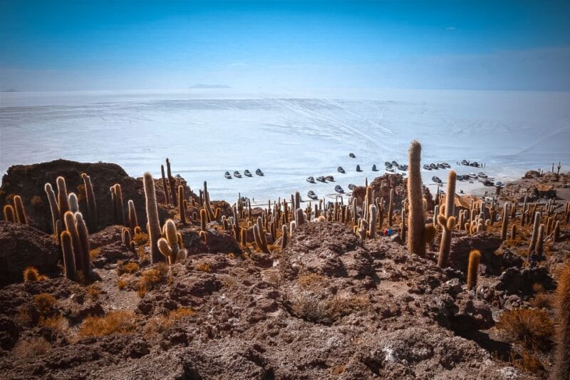 Uyuni: Guided 3-Day Tour Salt Flats & Avaroa National Park - Day 3: Geysers and Lagoons