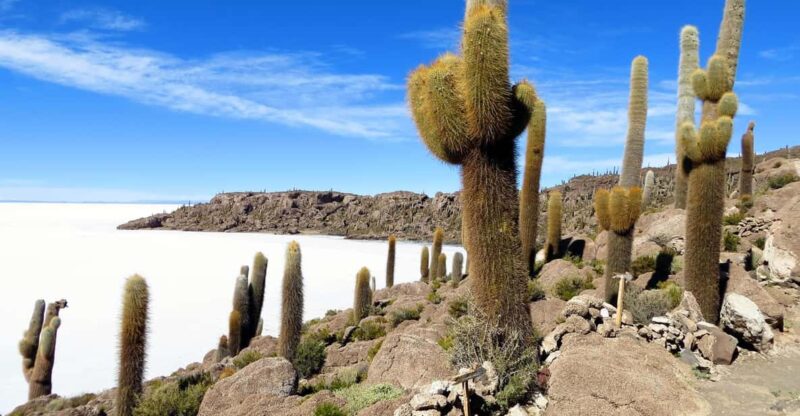 Uyuni: Guided Bike Tour of the Uyuni Salt Flats With Lunch - Safety and Support