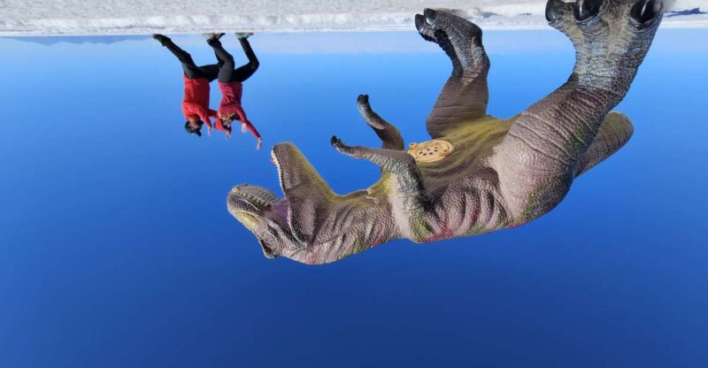 Uyuni: Private 1 Day Tour - Salt Flats & Isla Incahuasi - Key Points