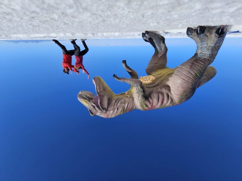 Uyuni: Private 1 Day Tour - Salt Flats & Isla Incahuasi - Inclusions