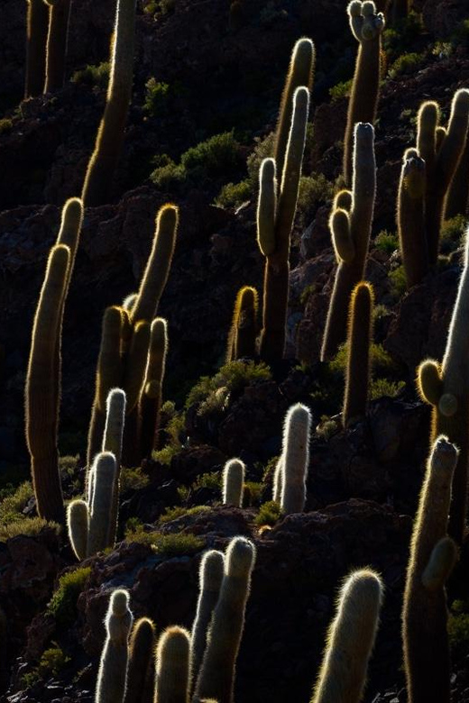 Uyuni: Salar De Uyuni Traditional Tour+Sunset Tour - Tour Highlights