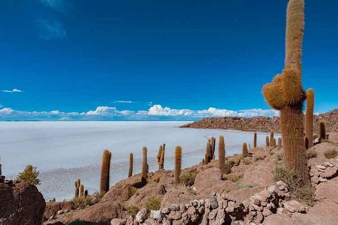 Uyuni Salt 1 Day Tour With Guide in English - Tour Overview