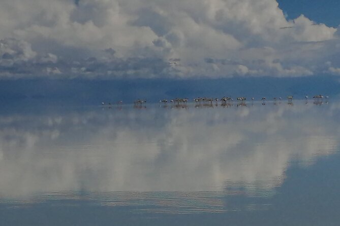 Uyuni Salt Flat 1 Day Tour +Sunset in the Salt Water Region With Mirror Effect - Inclusions and Meals