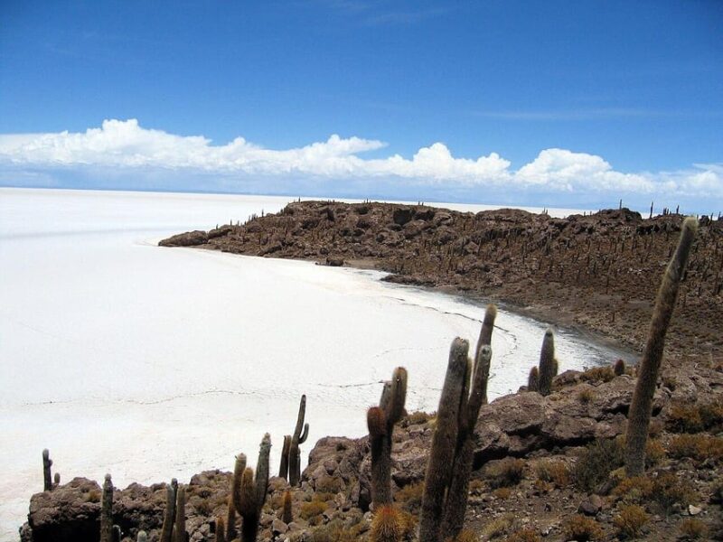 Uyuni Salt Flat and Incahuasi Island 5 Days - Itinerary Highlights