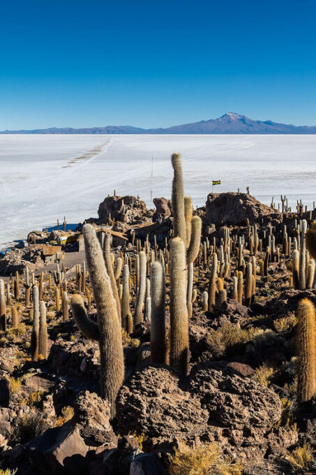 Uyuni Salt Flat and Incahuasi Island 5 Days - Inclusions and Additional Information