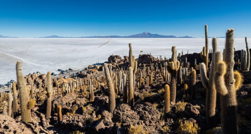 Uyuni Salt Flat: Atacama - Uyuni | 3 Days | Private - Day 1 Exploration