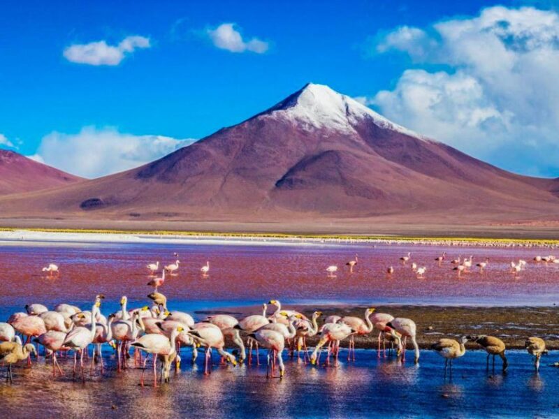 Uyuni Salt Flat - Colored Lagoons Tour - 3 Days/2 Nights - Group Size and Languages