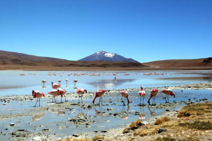 Uyuni Salt Flat: From San Pedro De Atacama Private | 4 Days - Accommodations and Inclusions