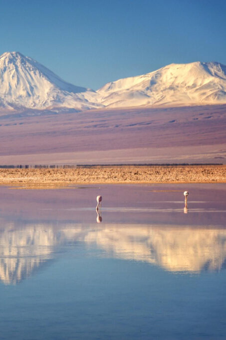 Uyuni Salt Flat: From Uyuni - Atacama 3 Days | Private - Booking and Cancellation