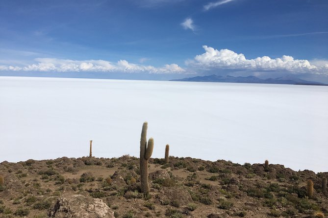 Uyuni Salt Flat Fron San Pedro De Atacama, (In Hostels) - Tour Highlights