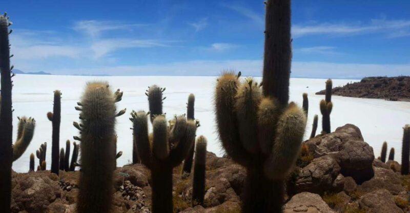 Uyuni Salt Flat Private Tour From Chile in Hostels - Inclusions