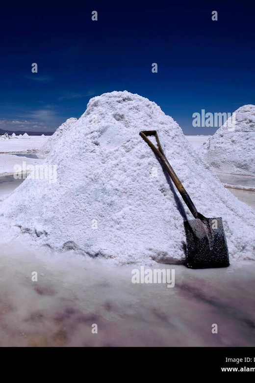 Uyuni Salt Flats - 1 Full Day Tour - Itinerary Highlights