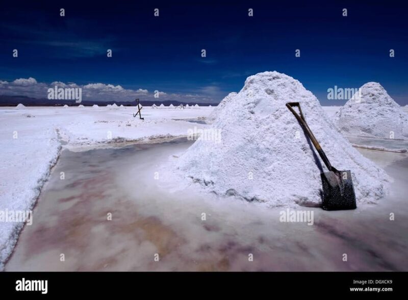 Uyuni Salt Flats - 1 Full Day Tour - Uyuni Salt Flats