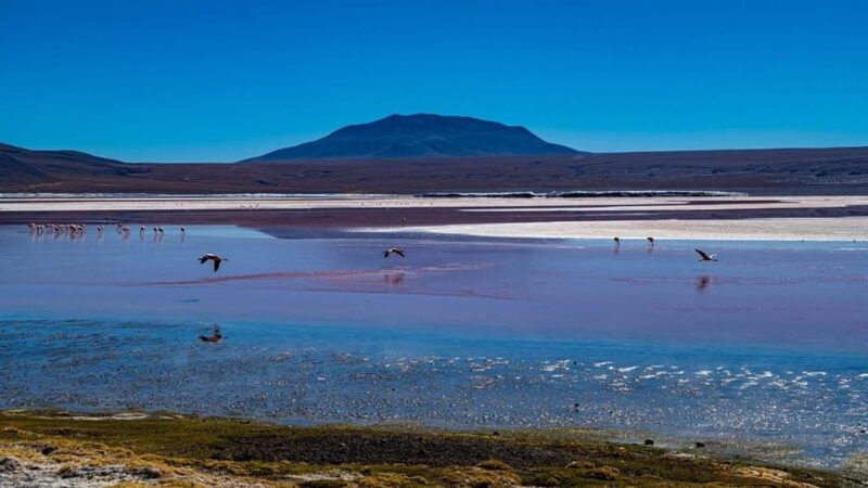 Uyuni Salt Flats 3 Days/ 2 Nights English - Meeting Point