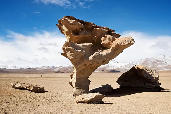Uyuni Salt Flats (3 Days) English Speaking Guide - Isla Incahuasi and Salt Hotel