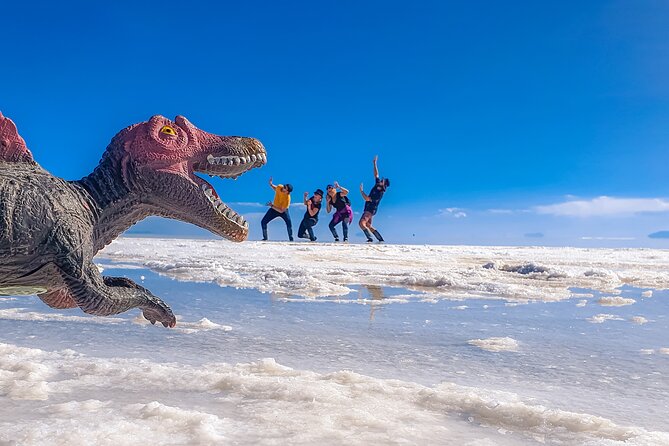 Uyuni Salt Flats _ Full Day _ English Speaking Guide - Meeting Point and Pickup