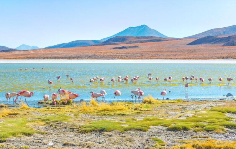 Uyuni Salt Flats and Red Lagoon 3-Days | English in Guide | - Key Points