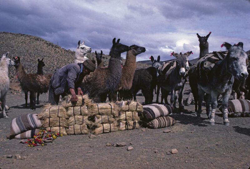 Uyuni Salt Flats Day Tour, Bolivia - Additional Information