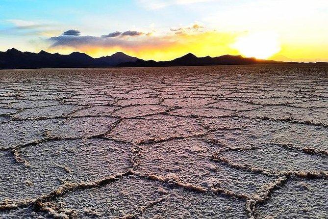 Uyuni Salt Flats (Day Trip) English Guide - Discovering Isla Incahuasi and the Salt Museum