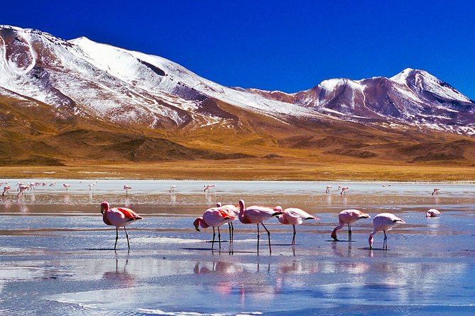Uyuni Salt Flats - FULL DAY - La Paz - Uyuni - La Paz - Meeting and Pickup