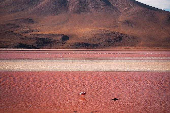Uyuni Salt Flats Private 3 Day Tour (Palacio Sal 5* & Tayka 3* Hotels) - Day 2: Lagunas Altiplanicas and Siloli Desert