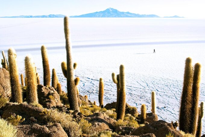 Uyuni Salt Flats Private Tours 3 Days - Flexibility and Accessibility